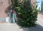 Tweede Marnixdwarsstraat
              <br/>
              Marcel Westhoff, mei 2018